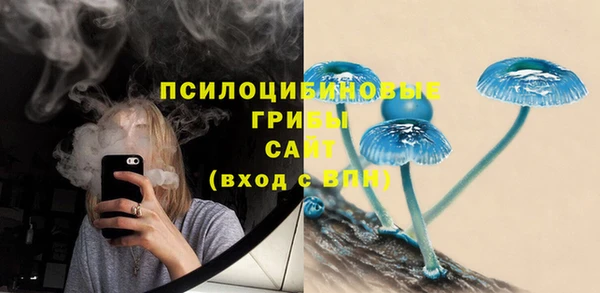 ПСИЛОЦИБИНОВЫЕ ГРИБЫ Балахна
